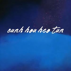 canh hoa heo tan (越南鼓)