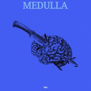 Medulla (Explicit)