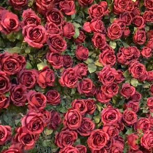 In The Middle (Explicit)