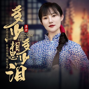 多少相思多少泪