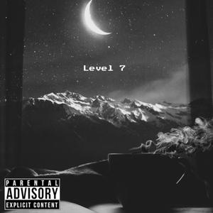 Level 7 (Explicit)