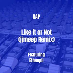 Like it or Not (jjmeep Remix|Explicit)