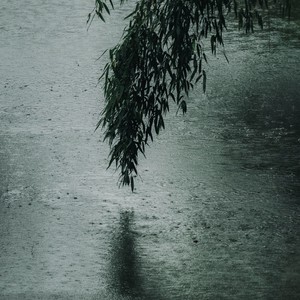 烟雨濛濛 (依萍版)