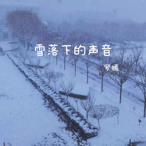 雪落下的声音-罗嫣