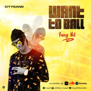 Want to Ball (Explicit)