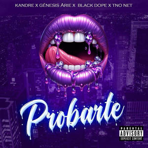 Probarte (feat. BLACK DOPE, TNO NET & Genesis Arie)