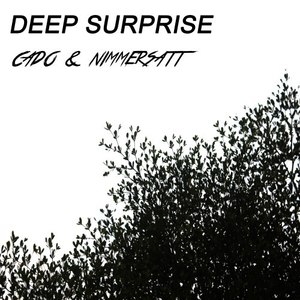 Deep Surprise