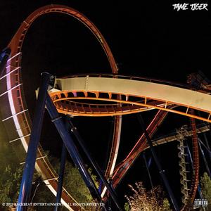 ALL I WANT (feat. Oliphantom) (Explicit)