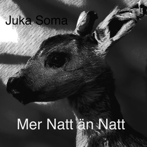 Mer Natt än Natt