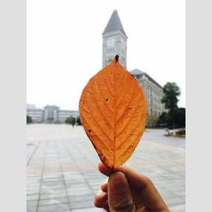 凌晨四点 梦回一师