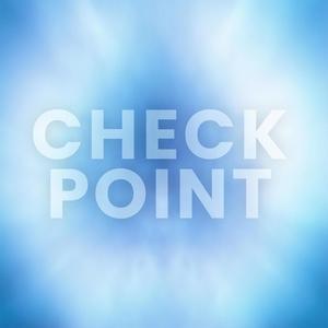 Checkpoint (Explicit)