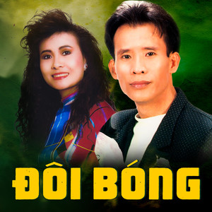 Đôi Bóng (Tình Ca Hai Mươi)