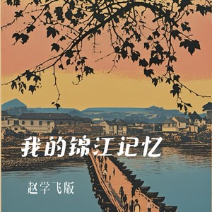 我的锦江记忆 赵学飞版