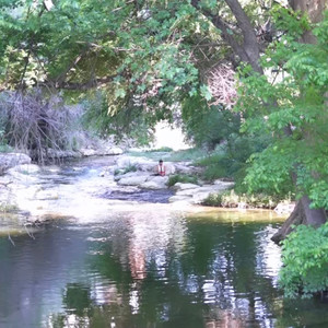 Peace in Toxic (Explicit)