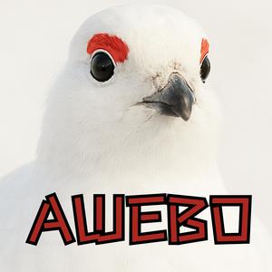 Awebo