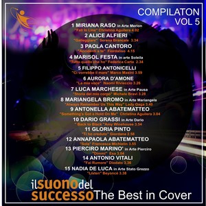 Il suono del successo (The Best in Cover Vol 5)