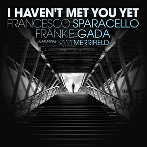I Haven't Met You Yet (Radio Edit)