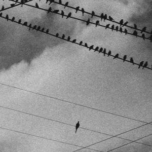 Los silenciados (Explicit)