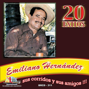 20 Exitos Y sus amigos