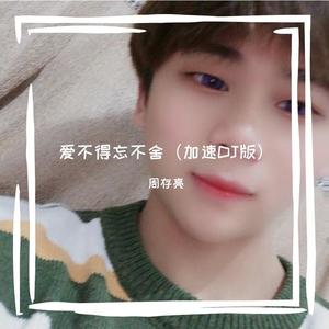 《爱不得忘不舍》 - 周存亮 (DJ加速版)