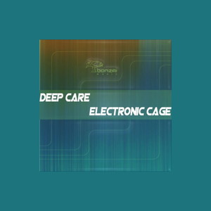 Electronic Cage