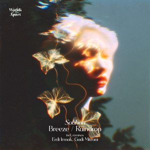 Breeze (Erdi Irmak Remix)