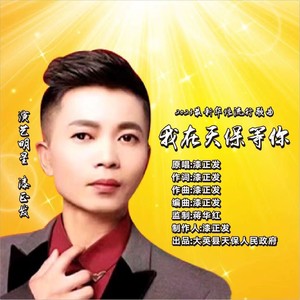 我在天保等你 (伴奏)