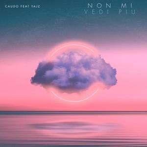 Non mi vedi piu(feat. Yajz)