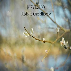 RISVEGLIO