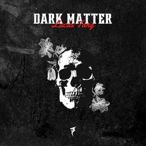Dark Matter