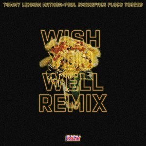 Wish You Well [feat. Floco Torres] (Remix|Explicit)