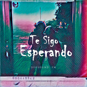 Te Sigo Esperando