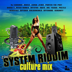 The System Riddim (Explicit)