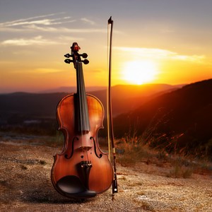 Through The Twilight Veil