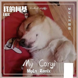 我的柯基 (MgLn Remix)