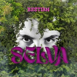 SELVA (Explicit)