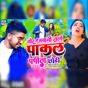 Tor Jawani Lage Pakal Papita