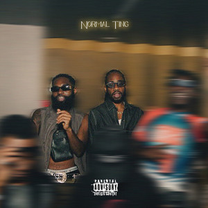 Normal Ting (Explicit)