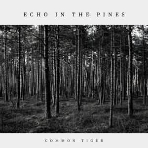 Echo in the Pines