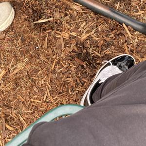 see me fall (Explicit)