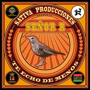 Te Echo De Menos( Riddim )