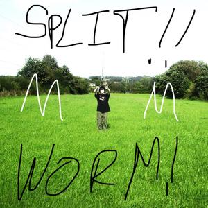 SPLIT WORM EP (Explicit)