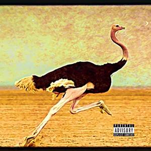 OSTRICH (feat. Psych Montano) (Explicit)