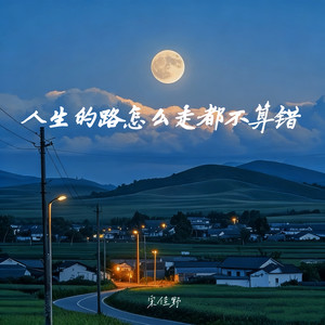 人生的路怎么走都不算错