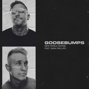 Goosebumps (Explicit)