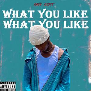 What You Like (Explicit)