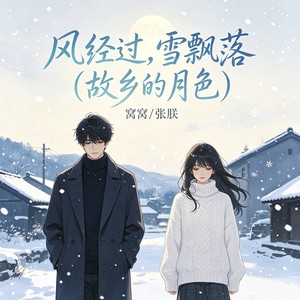 风经过,雪飘落(故乡的月色)