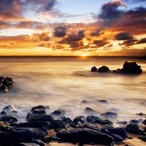 The Cynic Project - Island Adventures (early version)