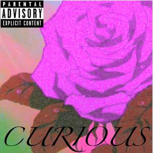 Curious
