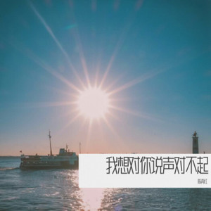 我想对你说声对不起伴奏 (伴奏)